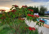 Casa de campo con terreno en venta en la España, Cartagena, ref: TR396658 foto