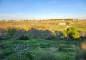 Casa de campo con terreno en venta en la España, Cartagena, ref: TR396658 foto