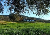 Casa de camp amb terreny en venda a la España, El Pedroso, ref.: TR149181 foto