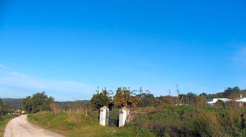 Sevilla - El Pedroso - 112286m2