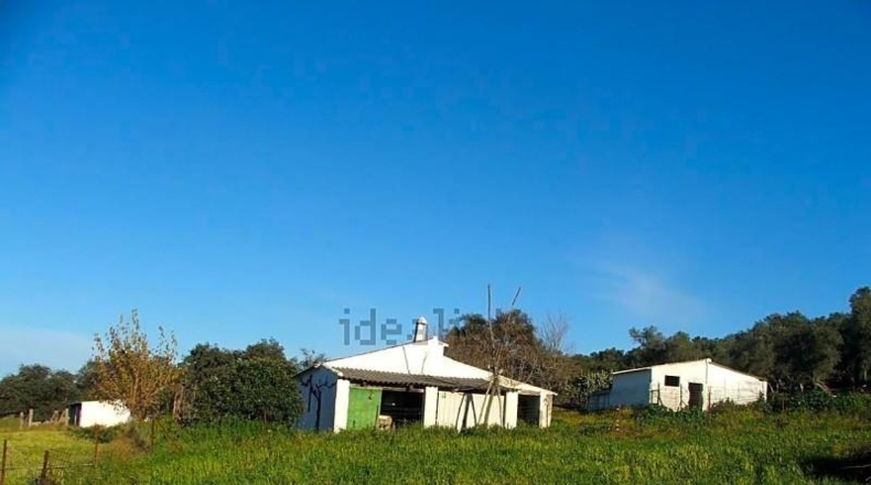 Sevilla - El Pedroso - 112286m2