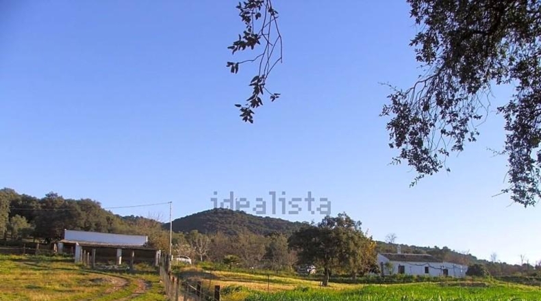 Sevilla - El Pedroso - 112286m2