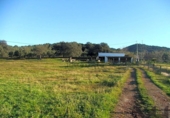 Casa de camp amb terreny en venda a la España, El Pedroso, ref.: TR149181 foto