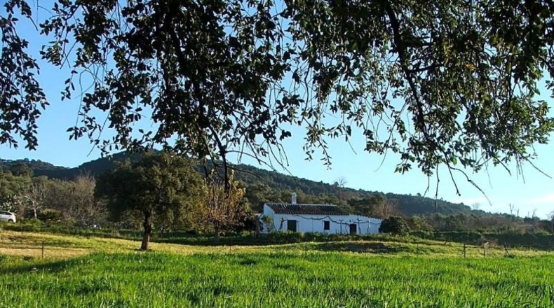 Sevilla - El Pedroso - 112286m2