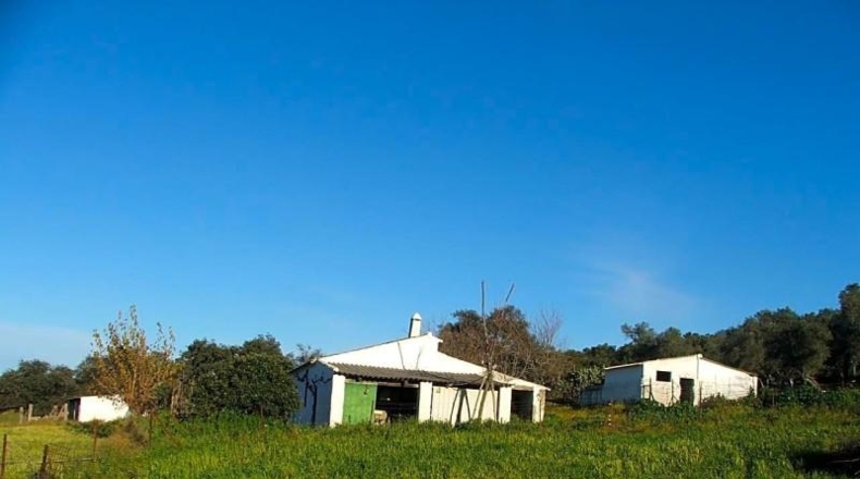 Sevilla - El Pedroso - 112286m2
