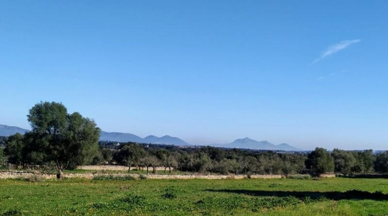 Balearic Islands - Llubí - 30000m2