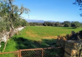 Terreno no urbanizable en venta en la España, Llubí, ref: TR116420 foto