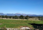 Terreno no urbanizable en venta en la España, Llubí, ref: TR116420 foto