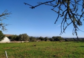 Terreno no urbanizable en venta en la España, Llubí, ref: TR116420 foto
