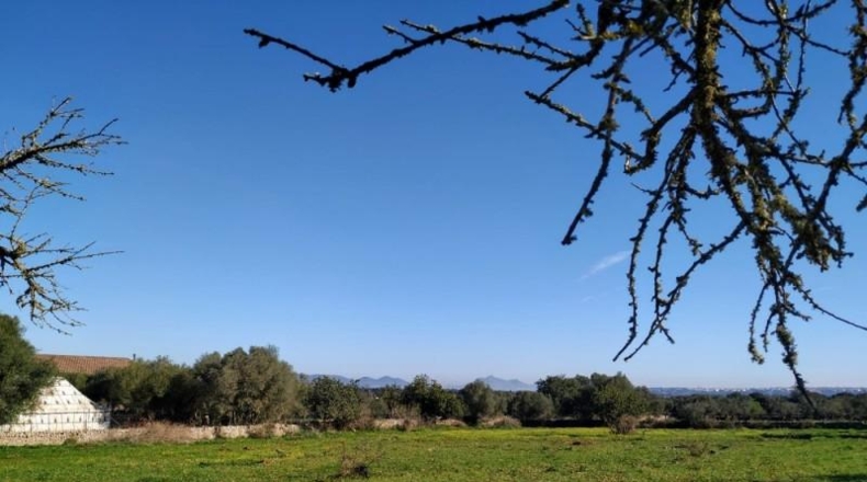 Balearic Islands - Llubí - 30000m2