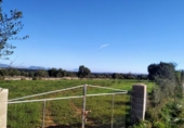 Terreno no urbanizable en venta en la España, Llubí, ref: TR116420 foto
