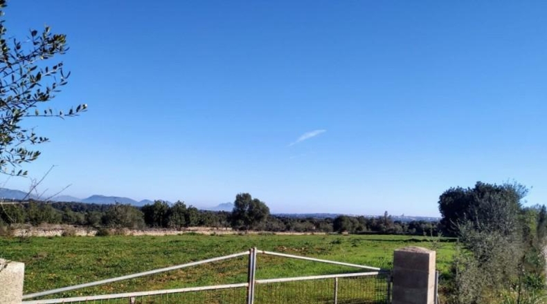 Balearic Islands - Llubí - 30000m2