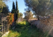 Terreno no urbanizable en venta en la España, Llubí, ref: TR116420 foto