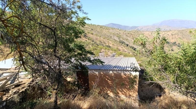 Granada - Torvizcón - 100000m2