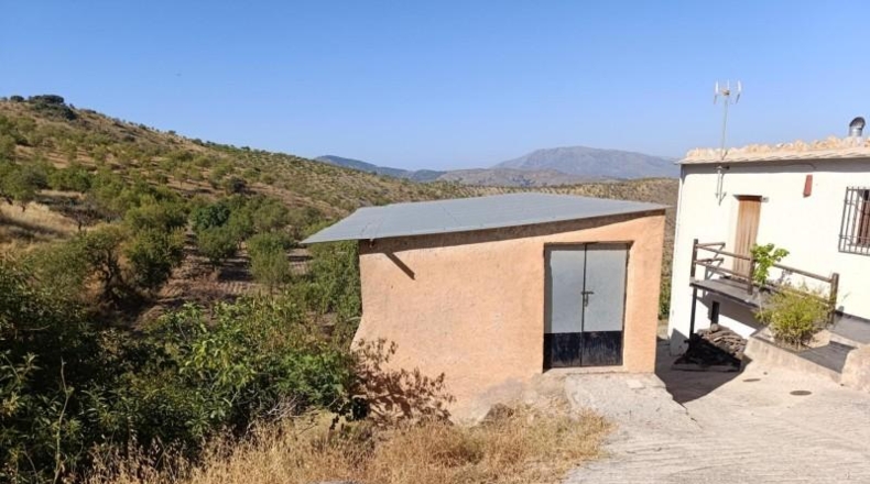 Granada - Torvizcón - 100000m2