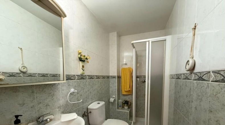 Granada - Láchar - 400m2