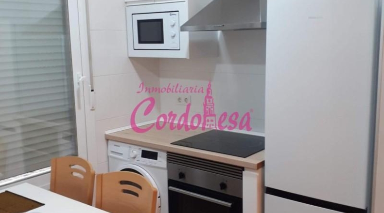 Córdoba - Córdoba - 50m2