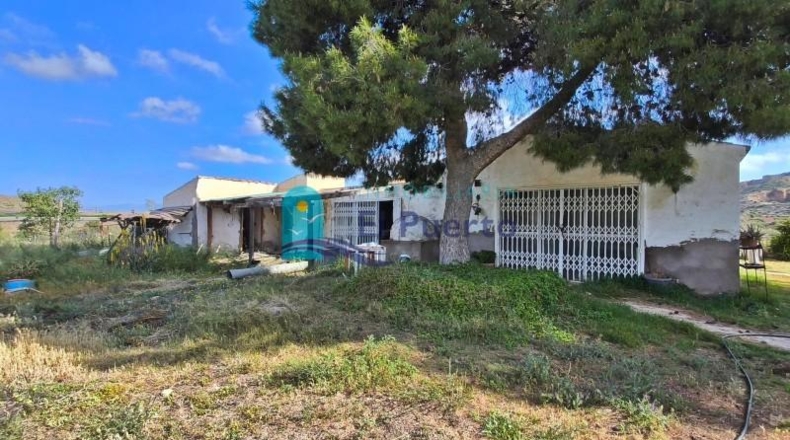 Murcia - Totana - 10000m2