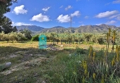 Country house with land for sale on España, Totana, ref: TR405387 photo