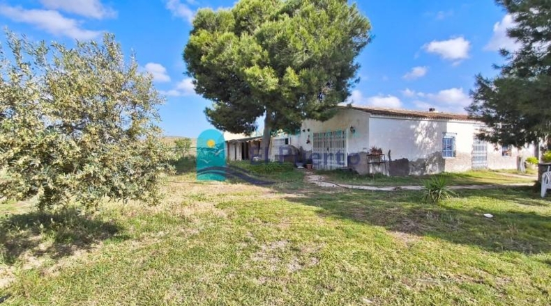 Murcia - Totana - 10000m2