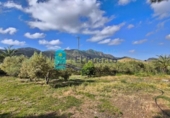 Country house with land for sale on España, Totana, ref: TR405387 photo