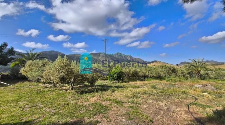 Murcia - Totana - 10000m2