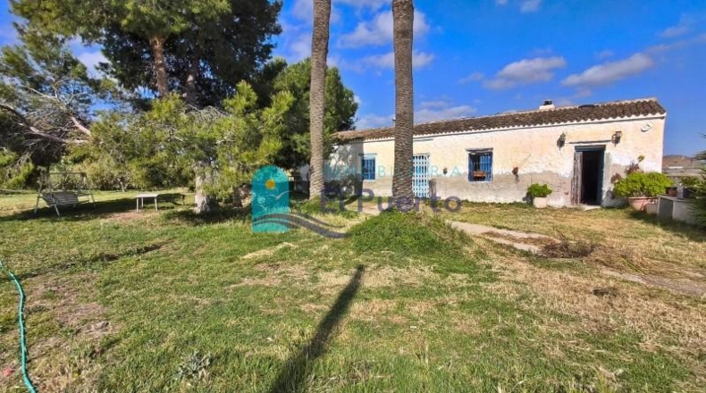 Murcia - Totana - 10000m2