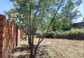 Suelo urbano en venta en la España, El Molar, ref: TR358891 foto
