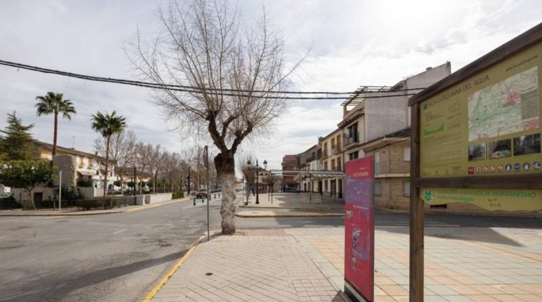 Granada - Fuente Vaqueros - 773m2