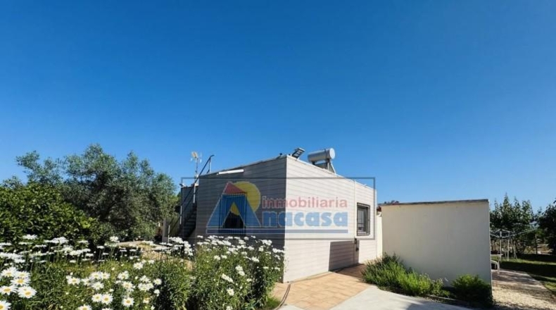 Valencia - Oliva - 1270m2