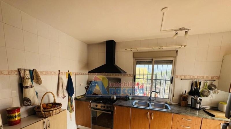 Valencia - Oliva - 1270m2