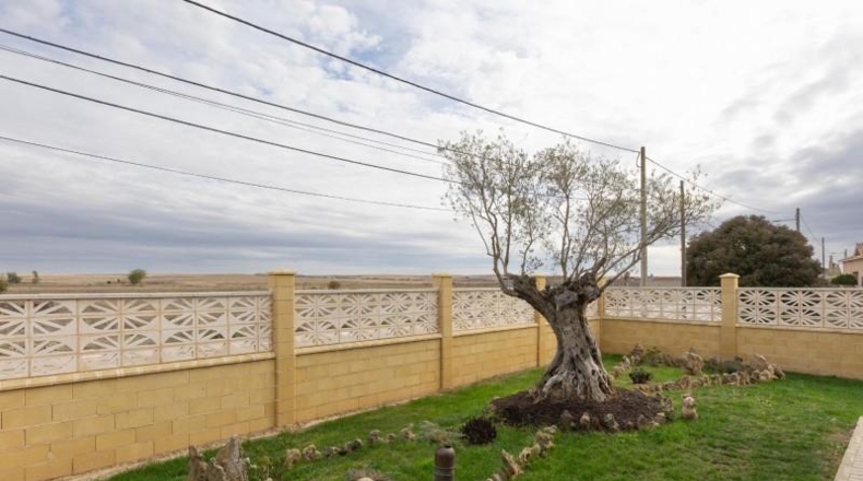 Zamora - Revellinos - 6500m2
