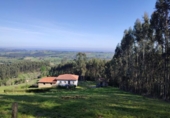 Chalet independiente con terreno en venta en la España, Villaviciosa, ref: TR165282 foto