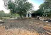 Terreno no urbanizable en venta en la España, Porreras, ref: TR169291 foto