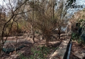 Terreno no urbanizable en venta en la España, Porreras, ref: TR169291 foto