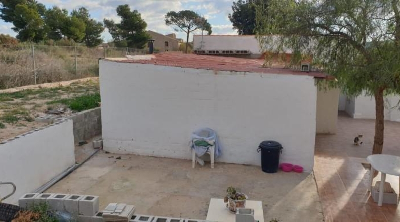 Alicante - Aspe - 13000m2