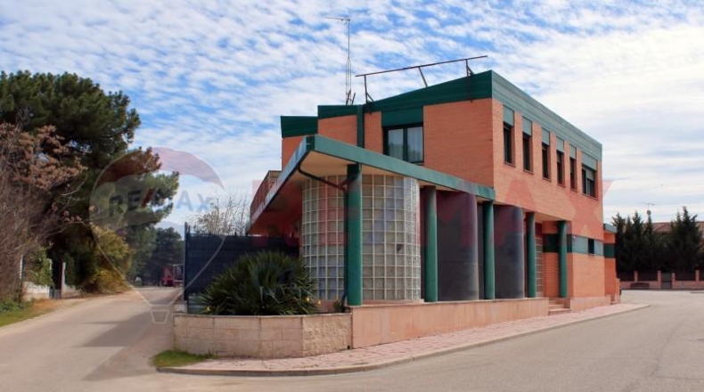 Valladolid - Mojados - 480m2
