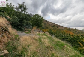 Güéjar Sierra 44063&nbsp;m²