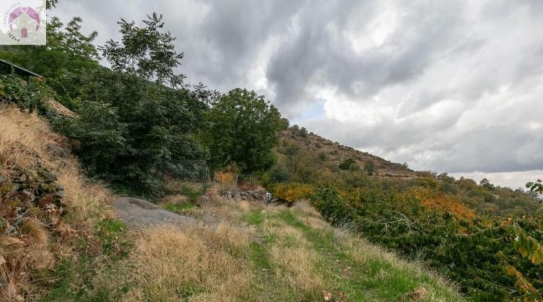 Granada - Güéjar Sierra - 44063m2