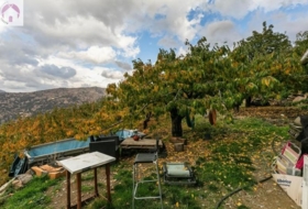 Güéjar Sierra 44063&nbsp;m²