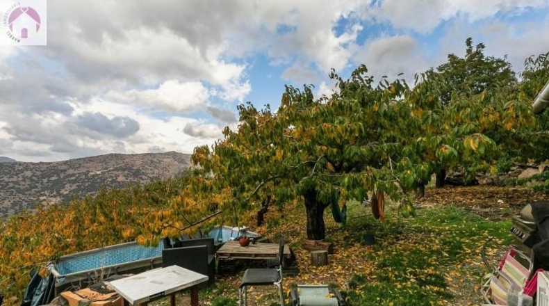 Granada - Güéjar Sierra - 44063m2