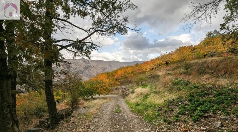 Granada - Güéjar Sierra - 44063m2