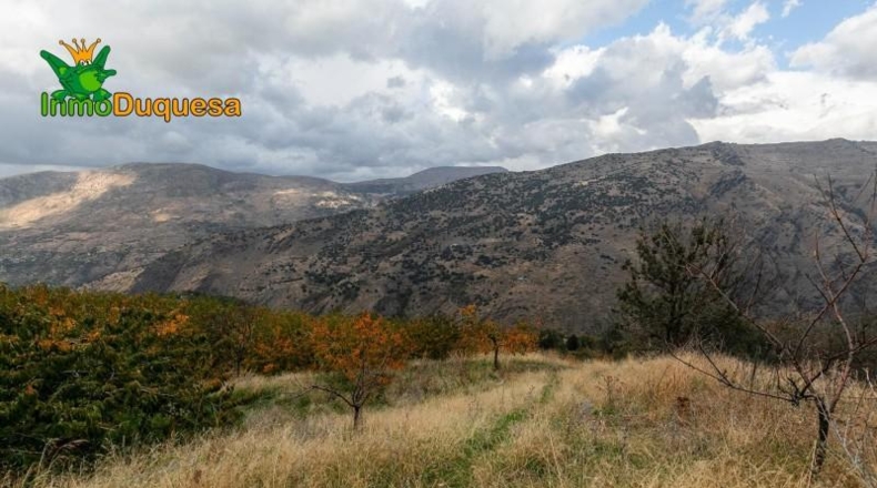 Granada - Güéjar Sierra - 44063m2