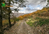 Detached villa with land for sale on España, Güéjar Sierra, ref: TR229894 photo