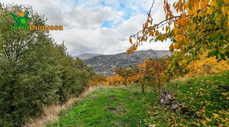 Granada - Güéjar Sierra - 44063m2
