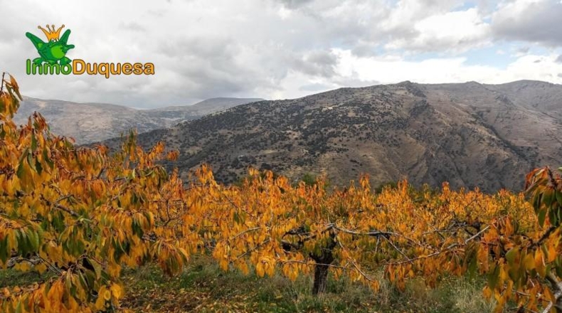 Granada - Güéjar Sierra - 44063m2