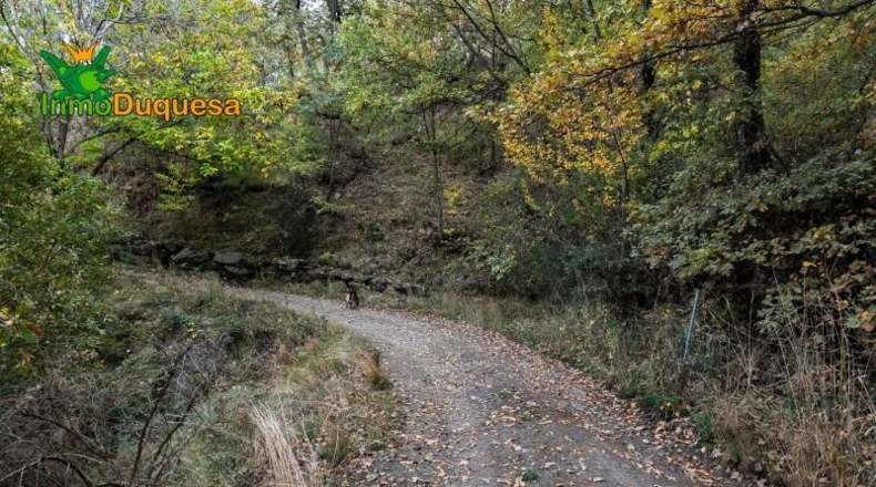 Granada - Güéjar Sierra - 44063m2