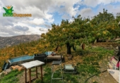 Detached villa with land for sale on España, Güéjar Sierra, ref: TR229894 photo