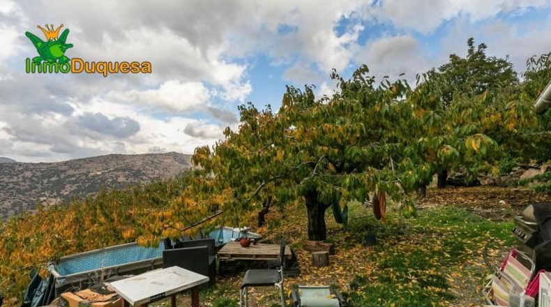 Granada - Güéjar Sierra - 44063m2