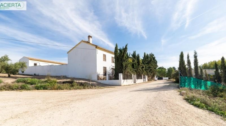 Granada - Láchar - 1210m2